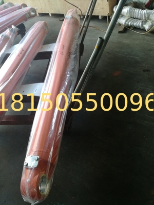 hydraulic cylinder China doosan  300 boom